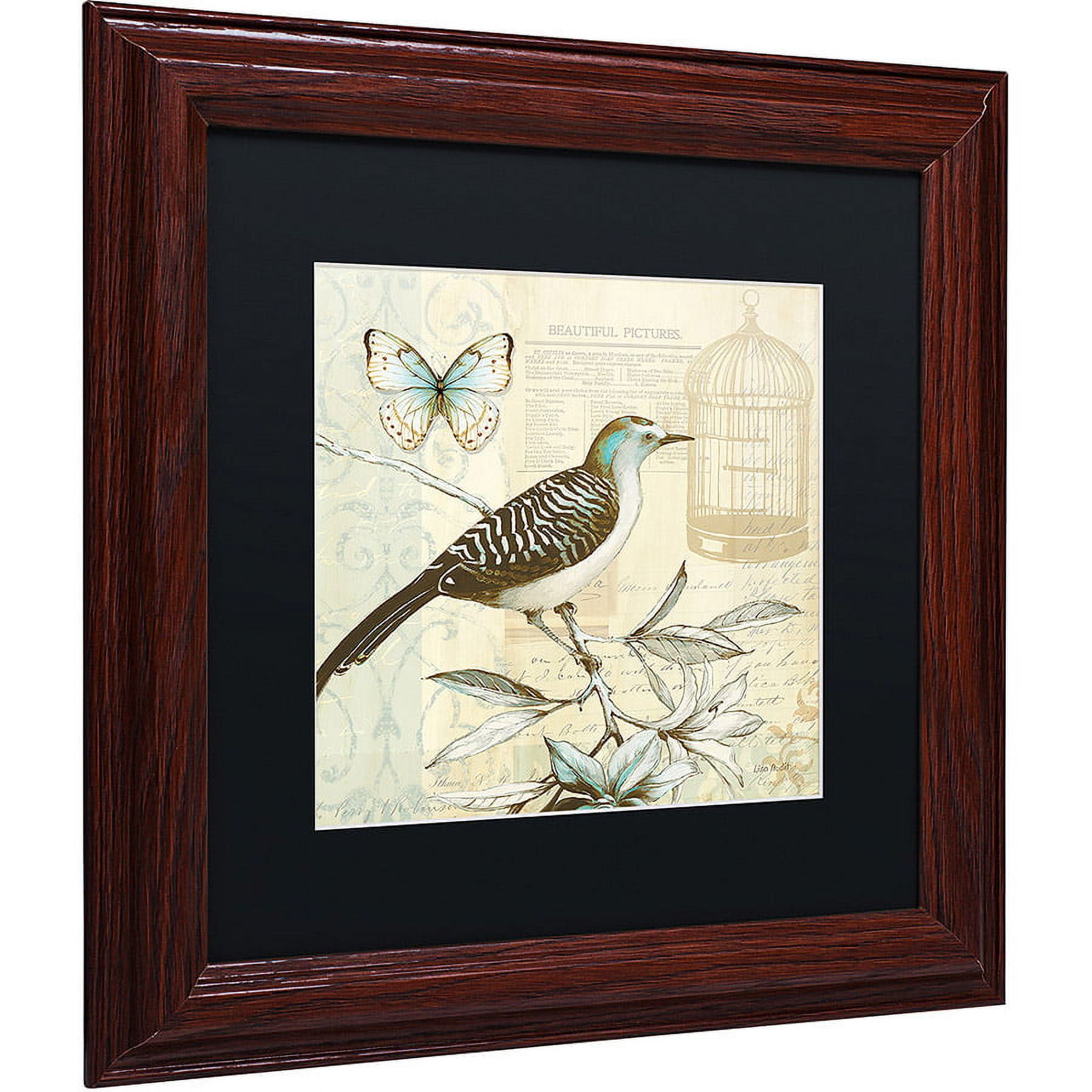 Trademark Fine Art "Freedom I" Canvas Art by Lisa Audit, Black Matte, Wood Frame