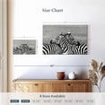 thumbnail image 4 of Elephant Stock Loving Zebras Wall Art - Horizontal Canvas Wall Art - Living Room Wall Decor - Animal Canvas - Black And White Decor - 12" x 8", 4 of 8