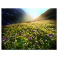 thumbnail image 2 of Prairie avec Fleurs Colorées - Art sur Toile Paysage Surdimensionné, 2 of 3