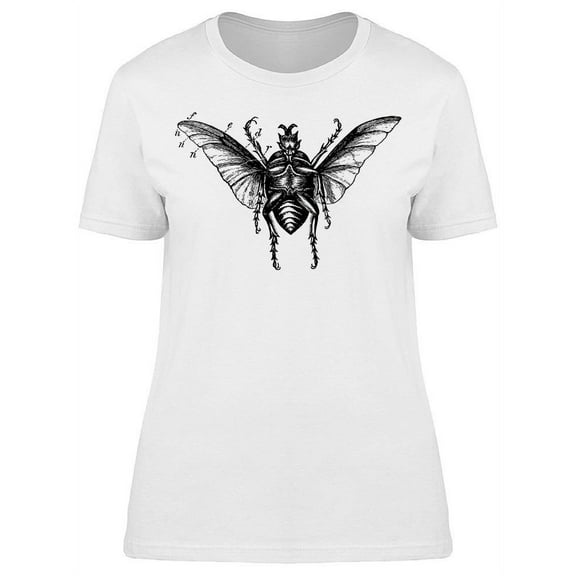 Large Beetle Sketch T-Shirt Women -Image by Shutterstock, Female Small