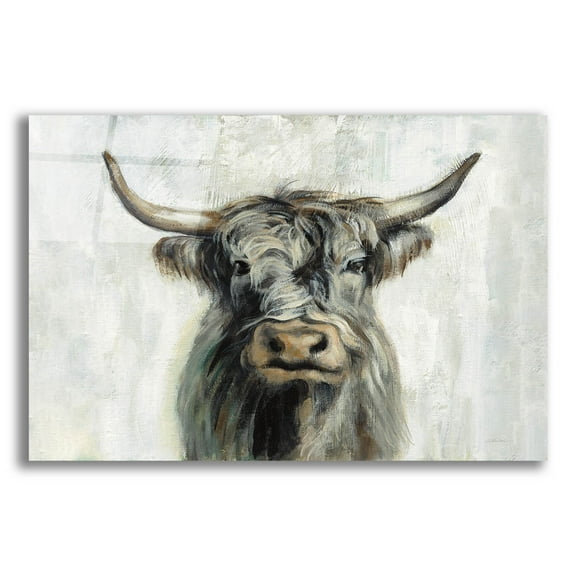 Epic Art 'Highland Cow Horizontal' by Silvia Vassileva, Acrylic Glass Wall Art, 16"x12"