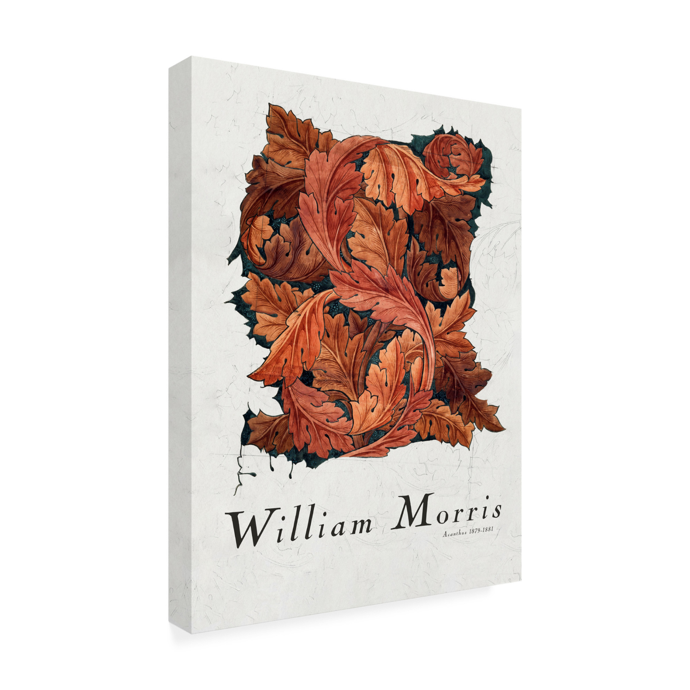 Trademark Fine Art Pictufy Acanthus Canvas Wall Art
