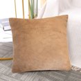 thumbnail image 2 of PiccoCasa 2Pcs Rectangle Viscose Velvet Solid Soft Throw Pillowcases, 18" x 18" Sand, 2 of 7