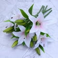 thumbnail image 6 of Raindrops 5 Pcs Bouquet Home Artificial Lily Wedding Decor PVC Flowers 15X36cm, 6 of 8