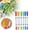 12 White, variant on XaTanion Marker Pens Brush Marker Pens 12 Colors Art Markers with Fine and Tip Coloring for Adults Journaling Calligraphy Drawing Sketching Doodling Illustrating 5ml,White,6.33 inch