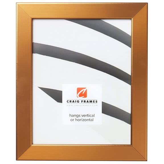 Craig Frames Bauhaus 125, 8.5x11 inch Picture Frame, Modern Stainless Brass
