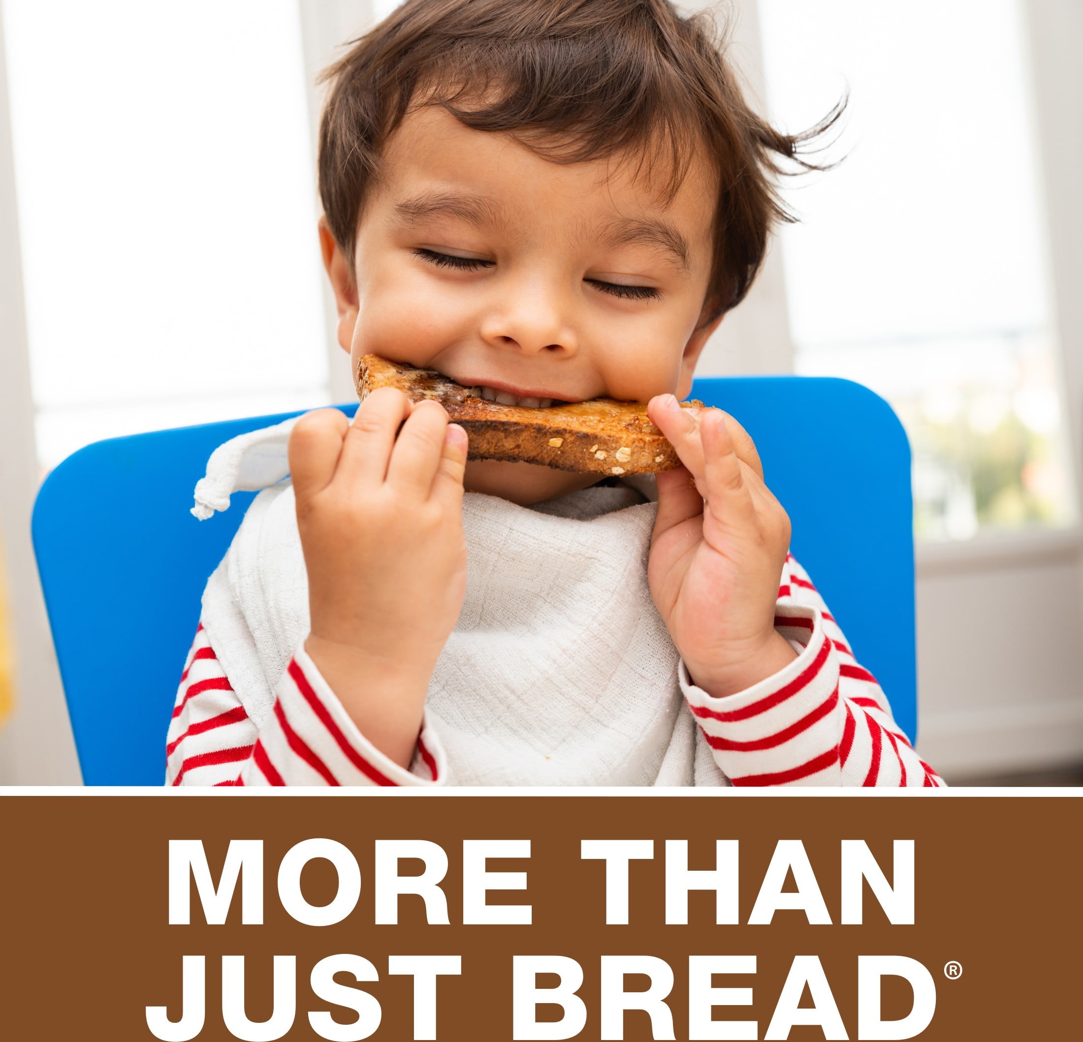 Lewis Bake Shop Whole Wheat Bread, 16 oz