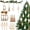 Gold Edge, variant on Sinkoo 12pcs Sea Shell Ornaments for Christmas, 2.5"-3" Seashells Plated Golden Small Seashells Ornaments, for Christmas Tree Hanging Decorations