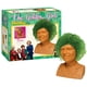 thumbnail image 1 of Maceta decorativa de cerámica Chia Pet Golden Girls Rose, 1 of 6