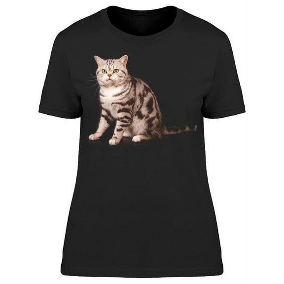 Sitting, Shorthair Cat T-Shirt Women -Image by Shutterstock, Female 3X-Large
