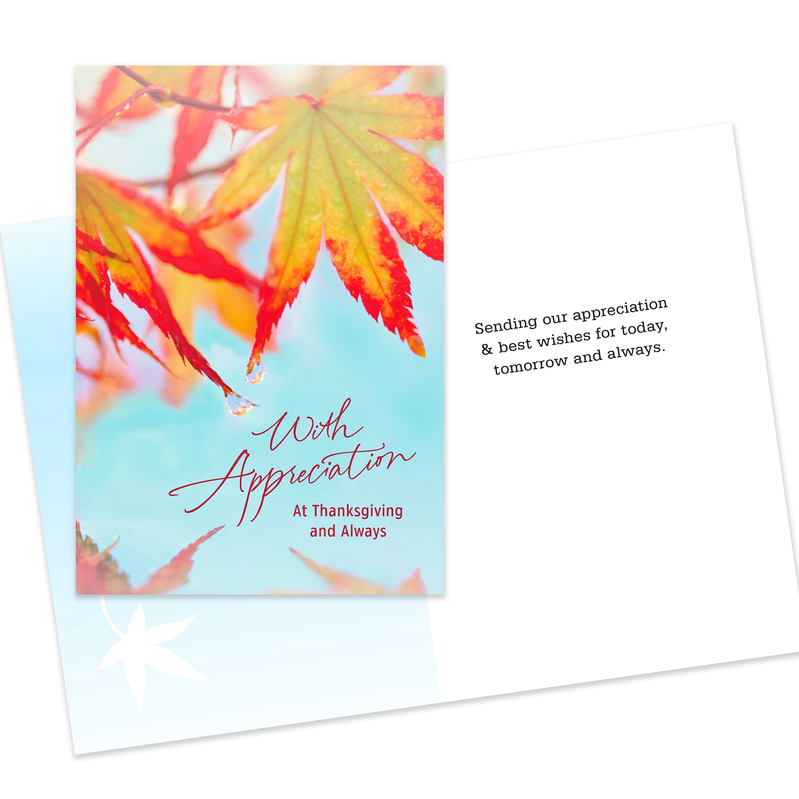 Hallmark Business Bulk Assorted Thanksgiving Cards (Appreciation & Thanks), 10 ct.