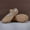 Khaki, variant on Girls Canvas Dance Shoes Soft Sole Practice Shoes Elastic Laces Toddler Kids Sizes 25-39