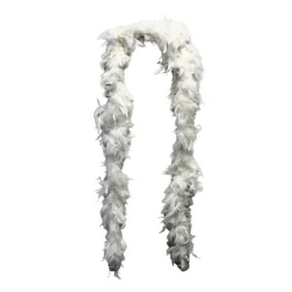 Assorted Plush 6' 60 Gram Feather Boas –