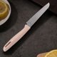 thumbnail image 5 of pstuiky Juego de cuchillos de acero inoxidable para fruta para cocina hogar melón pelador portátil para alimentos complementarios para bebés, 5 of 6