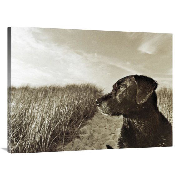 Global Gallery's 'At the Beach' By Jim Dratfield Stretched Canvas Wall Art