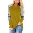 thumbnail image 2 of DOPI Women's Leopard Print Color Matching Round Neck Long Sleeved Shirt Striped Casual Top Autumn T-shirt, 2 of 2
