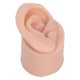 thumbnail image 2 of Modelo de oreja flexible de silicona, modelo de oreja de silicona, modelo de oreja de práctica mediana, modelo de oreja de práctica de perforación, el mejor en su clase, 2 of 14