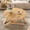 Natural + Rubber Wood + Rubberwood, variant on Transformer coffee table, 2 in 1 table, Expandable dining table, Natural wood, Variable height