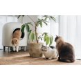 thumbnail image 5 of Self-Cleaning Cat Litter Deodorizer Box - 2 Boxes, Compatible with RoundT2 Self-Cleaning Cat Litter, 5 of 5