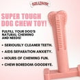 thumbnail image 2 of BULLIBONE Peppermint SuperBrush & Dental Chew Toy Set for Aggressive Chewers, Pink, small (2 Pack), 2 of 7