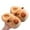 Coffee, variant on GPOECD Capybara Cozy Slippers for Girls and Boys Warm Winter Indoor Shoes with Sole for Kids Toddlers Kids Slippers for 3-16 Years Brown,37