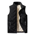 thumbnail image 3 of Chaleco de plumón sin mangas para hombre y mujer, chaqueta cálida y versátil con cuello levantado, novedad de otoño e invierno, 2024, 3 of 5