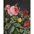 thumbnail image 2 of Redoute, Pierre 15x18 Gold Ornate Wood Framed with Double Matting Museum Art Print Titled - Redoutes Bouquet I, 2 of 4