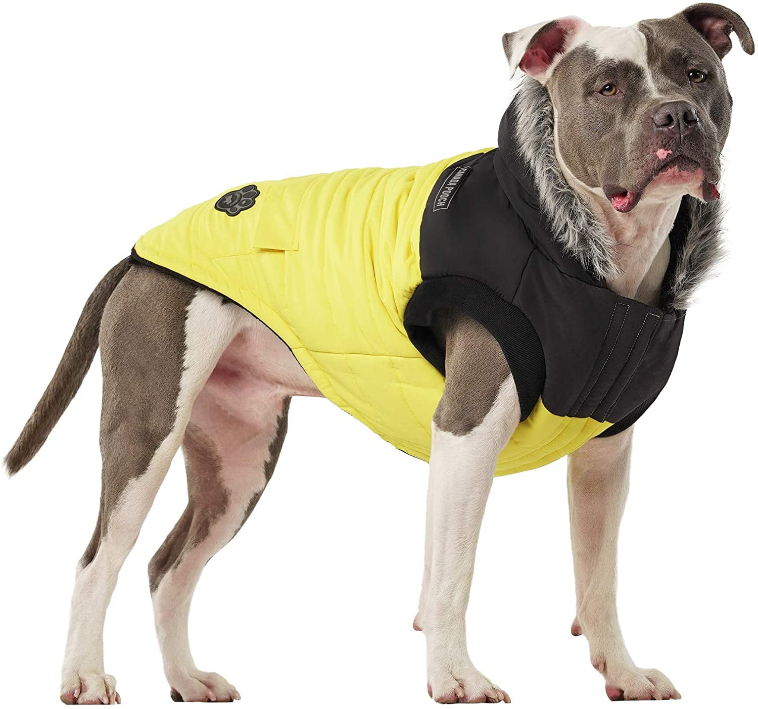 warmest dog coat ever