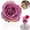 S, variant on Under $3 Artificial Rose Head Curly Anna Rose Head Cloth For Diy Wreath Craft Base Wedding Bouquet Accent (I) (1Pc)