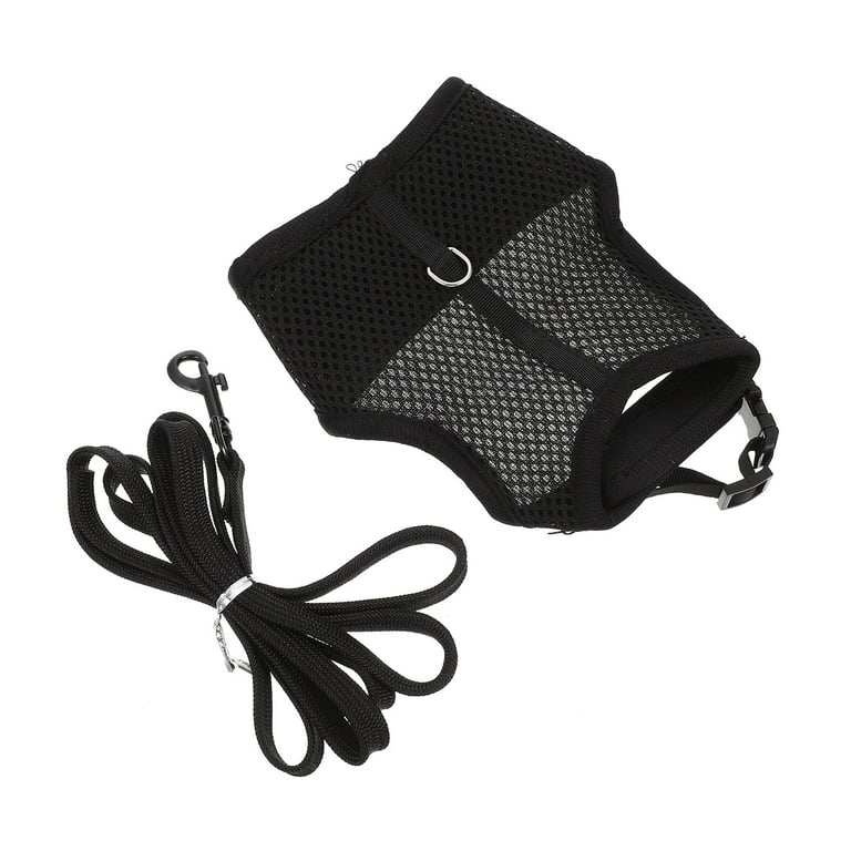 Bunny leash walmart cheap