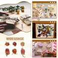 thumbnail image 6 of Natural Dried Flower Set, Dried Pressed Flowers (Globe Amaranth), 6 of 6