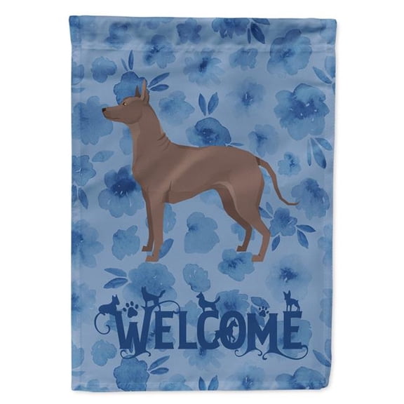 11 x 0.01 x 15 in. Mexican Hairless Dog Xolo Welcome Flag Garden Size