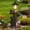 Black Bear, variant on Ciphrias Bald Eagle Garden Statue, 24.4 Inch Hand Painted Resin Sculpture, Brown