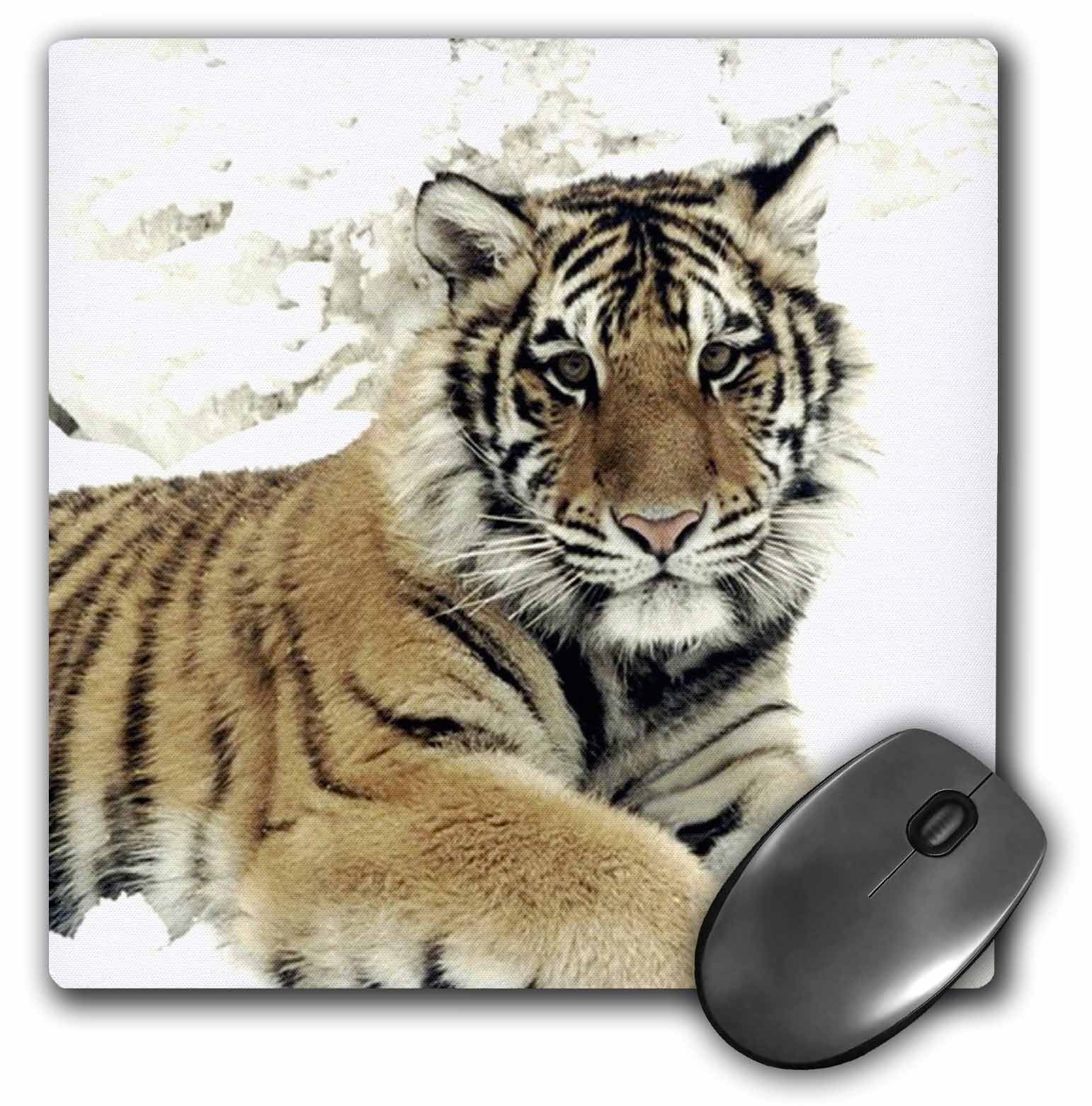 siberian mouse  model Siberian Mouse