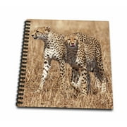 3dRose Pair of Cheetas walking.(Acinonyx jubatus).Serengeti National Park, Tanzania - Mini Notepad, 4 by 4-inch