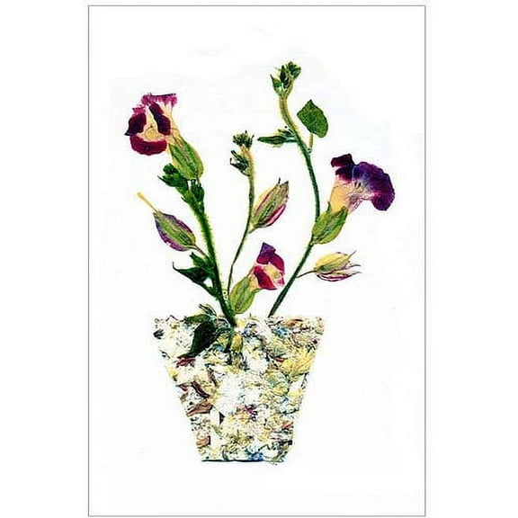 Trademark Art "Pot of Wishes" Canvas Art by Kathie McCurdy, 16x24