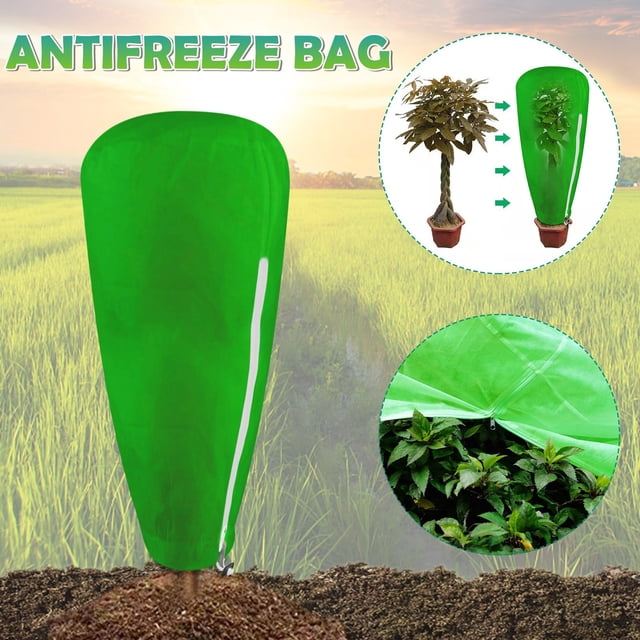Vaidha Antifreeze Your Plants From Frostbite In Winter