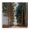 Serene Tall Trees Pathway, variant on Stupell Industries Transitional Mountain Forest Impression Black Framed Print Under Glass, 13 x 13, by Kim Curinga