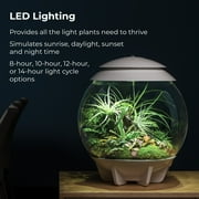 biOrb AIR 30 Terrarium - Grey, Acrylic