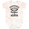 thumbnail image 3 of Inktastic Handpicked for Earth by My Pawpaw in Heaven with Angel Wings Boys or Girls Baby Bodysuit, 3 of 5