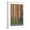 White Frame, variant on Art.com Sequoia National Forest, CA Redwood Trees Art Print by Lantern Press, Black Frame Wall Art, 17" x 23"