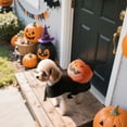 thumbnail image 3 of Dog Pumpkin/Ghost Costume Halloween Pet Clothes Pumpkin/Ghost Outfit for Small Dogs Holiday Pet Supplies(XL,Black), 3 of 7