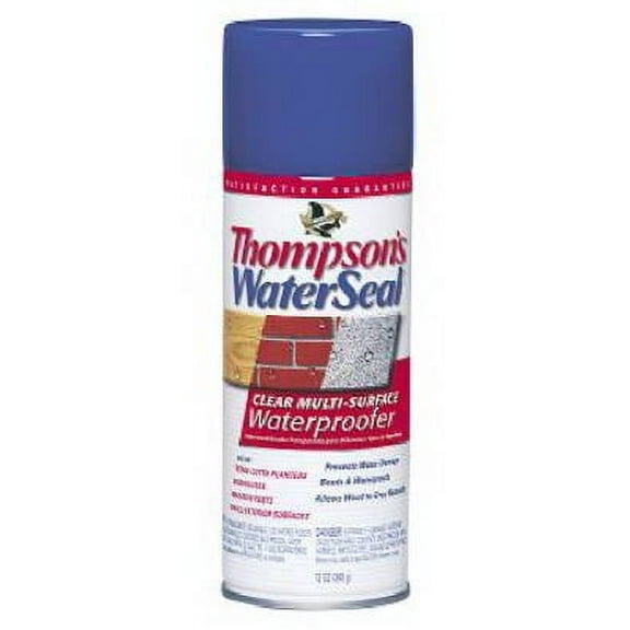 Thompson's 12 OZ Aerosol Water Seal, Each