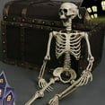 thumbnail image 6 of Realistic Full-Body Bone Prop, Adjustable Limbs for Eerie Graveyard Displays Portable Halloween Decoration, 6 of 9