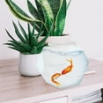 thumbnail image 4 of WRITWAA 2Pack Decorative Small Fish Bowl Transparent Aquarium For Fish Enthusiasts, 4 of 8