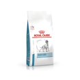 thumbnail image 1 of Alimento para Perro Royal Canin Skin Care Adult 10 kg Royal Canin Veterinario 10 kg, 1 of 2