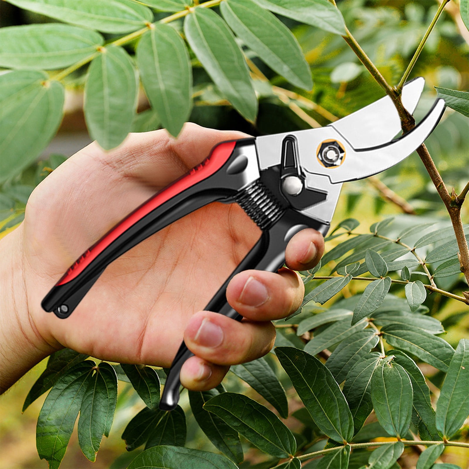PEONAVET Stainless Steel Pruning Shears Capacity Of The Antirust Oil 10ml Pruning and Gardening Scissors Made Of Superior Stainless Steel for Garden Potting and Trimming