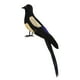 thumbnail image 3 of Pájaro de simulación de urraca, artesanías de pájaros artificiales, figuras de pájaros realistas para arte de jardín 30 centimetros, 3 of 9