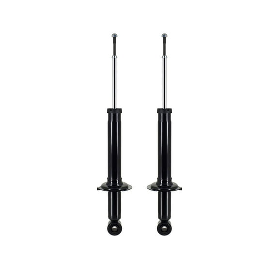Pair of 2 Rear Suspension Strut Assembly For 2004-2006 KIA Amanti