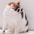 thumbnail image 2 of Lindas gafas de sol para perros, gafas de sol con perlas para perros, accesorios para disfraces de perros para fiestas pequeñas y medianas, 2 of 5